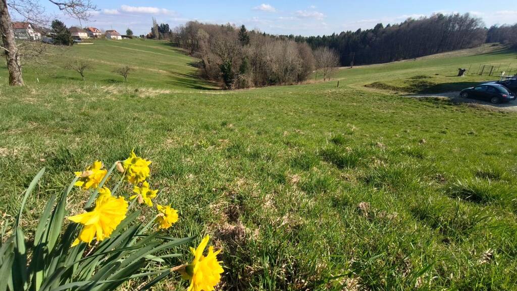 Grundstück zum Kauf 150.000 € 1.130 m² Grundstück Grazer Straße 84d Hart bei Eggersdorf 8062