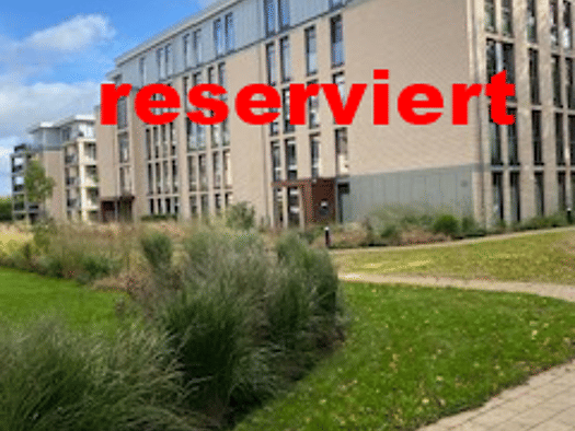 Wohnung zur Miete 1.365 € 3 Zimmer 110 m² frei ab sofort Fördestraße 126 Mürwik Flensburg 24944