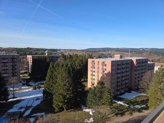 Wohnung zum Kauf 58.500 € 1 Zimmer 44 m² frei ab sofort Harz 38707