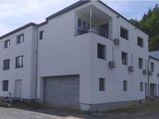 Produktionshalle zur Miete 7 € 600 m² Lagerfläche Wallmenroth 57584