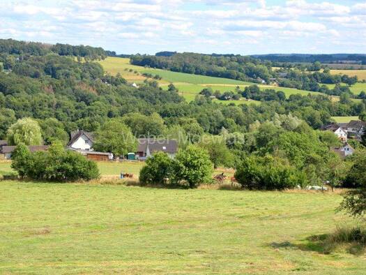 Bauernhof zum Kauf 749.000 € 10.440 m² Grundstück Ophausen Much 53804