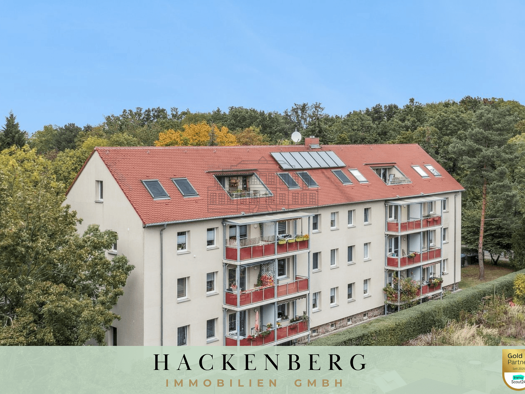 Wohnung zum Kauf 139.500 € 1 Zimmer 49,2 m² 2. Geschoss Gaschwitz Markkleeberg 04416