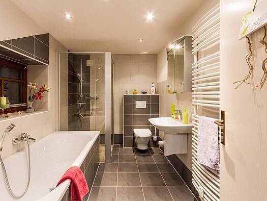 Wohnung zur Miete 1.230 € 1 Zimmer 36 m² EG Hosterwitz/Pillnitz Dresden 01326