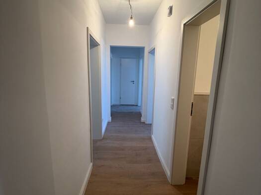 Wohnung zur Miete 845 € 3 Zimmer 63 m² Geschoss 1/3 frei ab sofort Tiergartenstraße 230 Elberfeld Wuppertal 42117