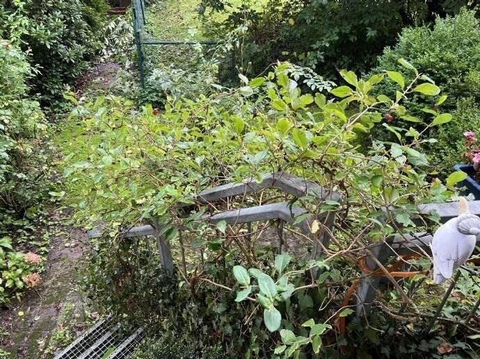 Property thumbnail 6