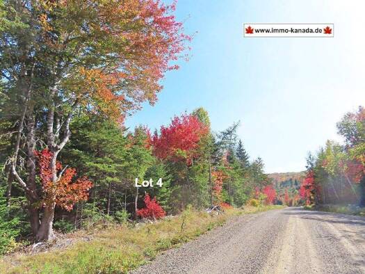 Grundstück zum Kauf 23.000 € 8.903 m² Grundstück West Side Country Harbour Road Country Harbour 010