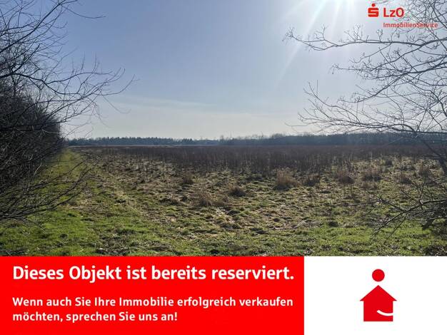 Land-/Forstwirtschaft zum Kauf 31.230 m² Grundstück Sedelsberg-Hüllen II Saterland 26683