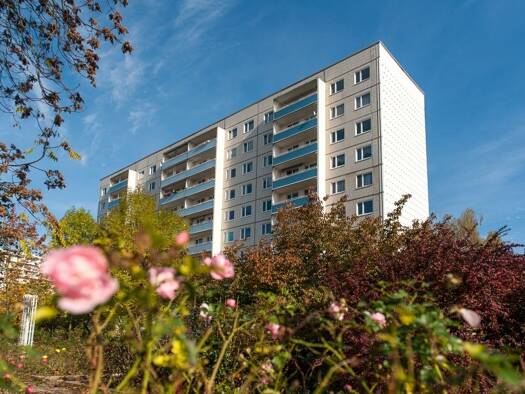 Wohnung zur Miete 305 € 3 Zimmer 54,5 m² 9. Geschoss frei ab 01.02.2026 Tangermünder Straße 17 Westliche Neustadt Halle (Saale) 06124