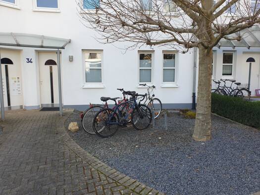 Wohnung zur Miete 620 € 2 Zimmer 54 m² Geschoss EG/3 frei ab 01.12.2026 Zum Wingertsberg 34 Tarforst Trier 54296