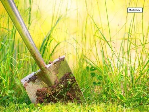 Grundstück zum Kauf provisionsfrei 9.900 € 500 m² Grundstück Schönbach 02708