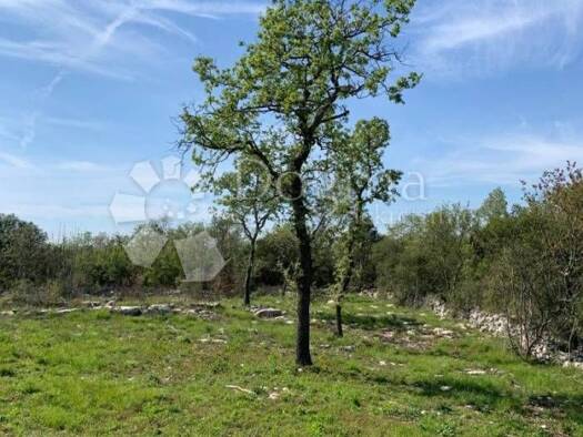 Acker-/Waldstück zum Kauf 63.000 € Rovinjsko Selo, Rovinj Rovinj 52210