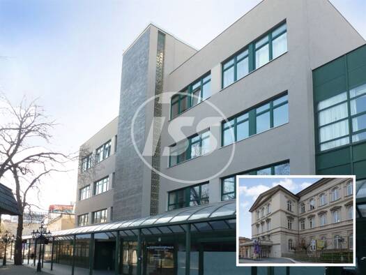 Bürogebäude zur Miete provisionsfrei 7 € 137 m² Bürofläche Franckestraße 1 Innenstadt Halle (Saale) 06110