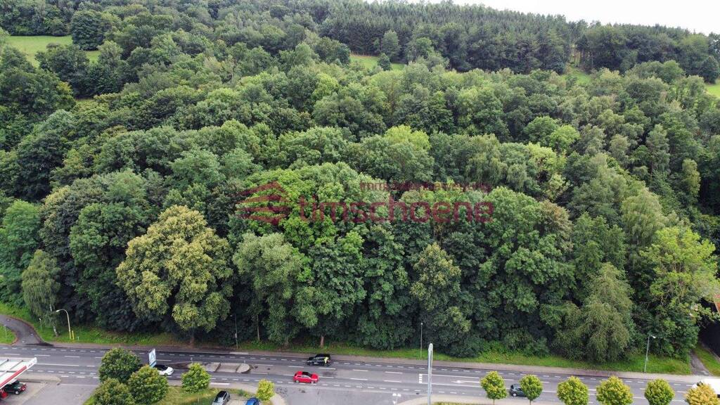 Grundstück zum Kauf 59.800 € 6.890 m² Grundstück Schmalkalden 98574