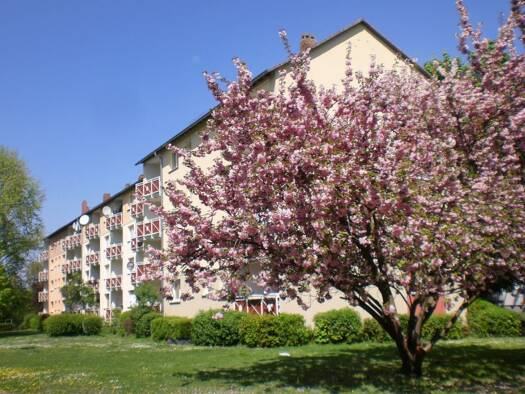 Wohnung zur Miete 669 € 2,5 Zimmer 58,5 m² 2. Geschoss frei ab 01.09.2025 Sigmund-Freud-Straße 83 Eckenheim Frankfurt am Main 60435