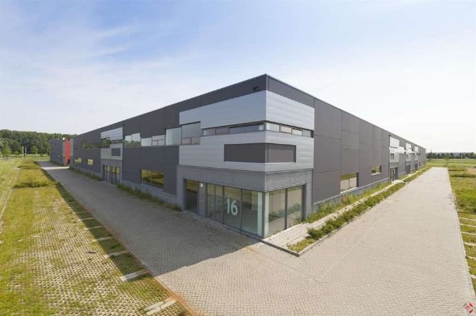 Lagerhalle zur Miete 4,95 € 5.000 m²<br/>Lagerfläche - Wilhelmschule Offenbach 69069