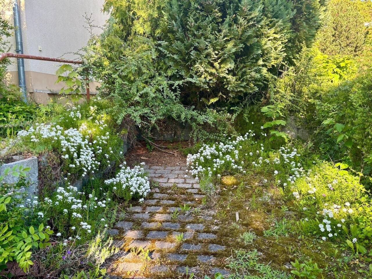 Immobilie in Weimar - In bester Wohnlage von Weimar - Diese Immobilie wird im ANGEBOTSVERFAHREN verkauft----- - Bild 3