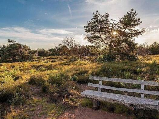 Wohnung zum Kauf provisionsfrei 532.460 € 3 Zimmer 134,8 m² EG Ullersdorf Radeberg 01454