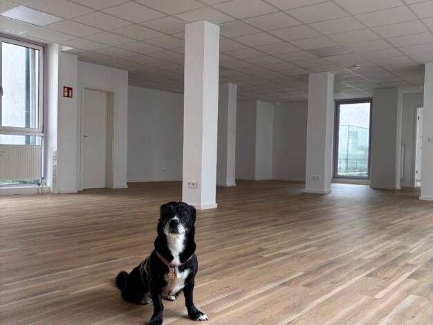 Bürofläche zur Miete provisionsfrei 400 € 4 m² Bürofläche Nymphenburger Straße Neuhausen-Nymphenburg München 80636