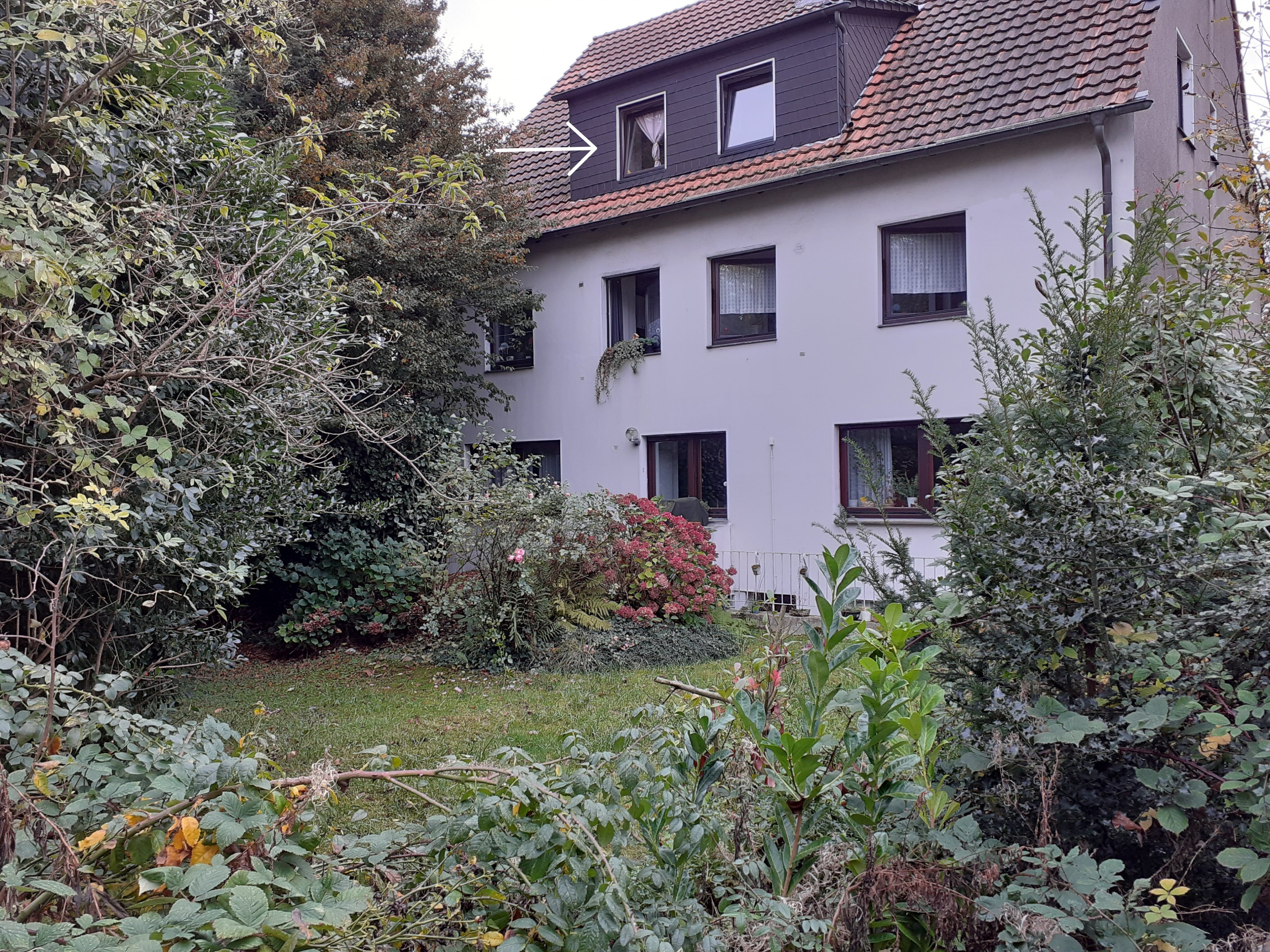 Wohnung zur Miete 300 € 2 Zimmer 50,9 m²<br/>Wohnfläche 2.<br/>Geschoss Wattenscheid - Mitte Bochum 44866