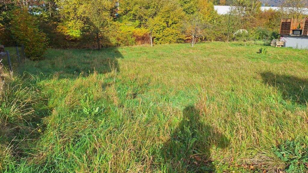 Grundstück zum Kauf provisionsfrei 305.000 € 788 m² Grundstück Grazerstraße 86 Bad Ischl 4820