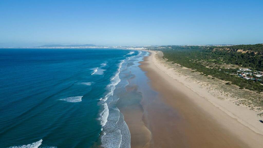 Villa zum Kauf 1.890.000 € 6 Zimmer 262 m² 1.356 m² Grundstück Rua dos Gladiolos Costa da Caparica 2825