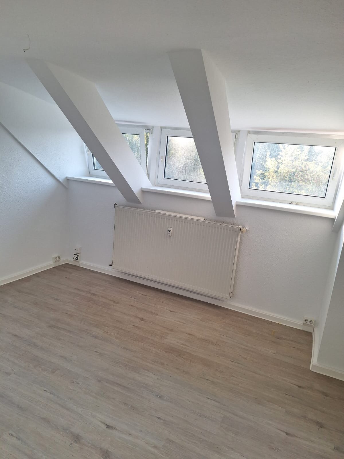 Wohnung zur Miete 230 € 1 Zimmer 35 m²<br/>Wohnfläche Groß Mohrdorf Groß Mohrdorf 18445