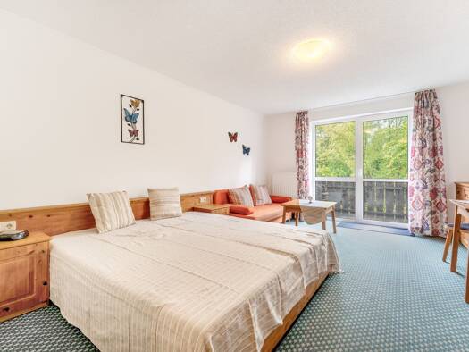 Wohnung zum Kauf 25.000 € 1 Zimmer 28,7 m² Viechtach 94234