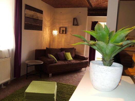 Wohnung zur Miete auf Zeit 1.370 € 1 Zimmer 50 m² frei ab 31.10.2026 Wien 2340