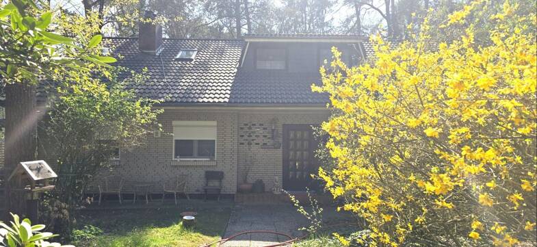 Mehrfamilienhaus zum Kauf provisionsfrei 737.000 € 17 Zimmer 370 m² 5.000 m² Grundstück Max Schmeling Weg 707 Dierstorf-Heide Dierstorfer Heide 21279
