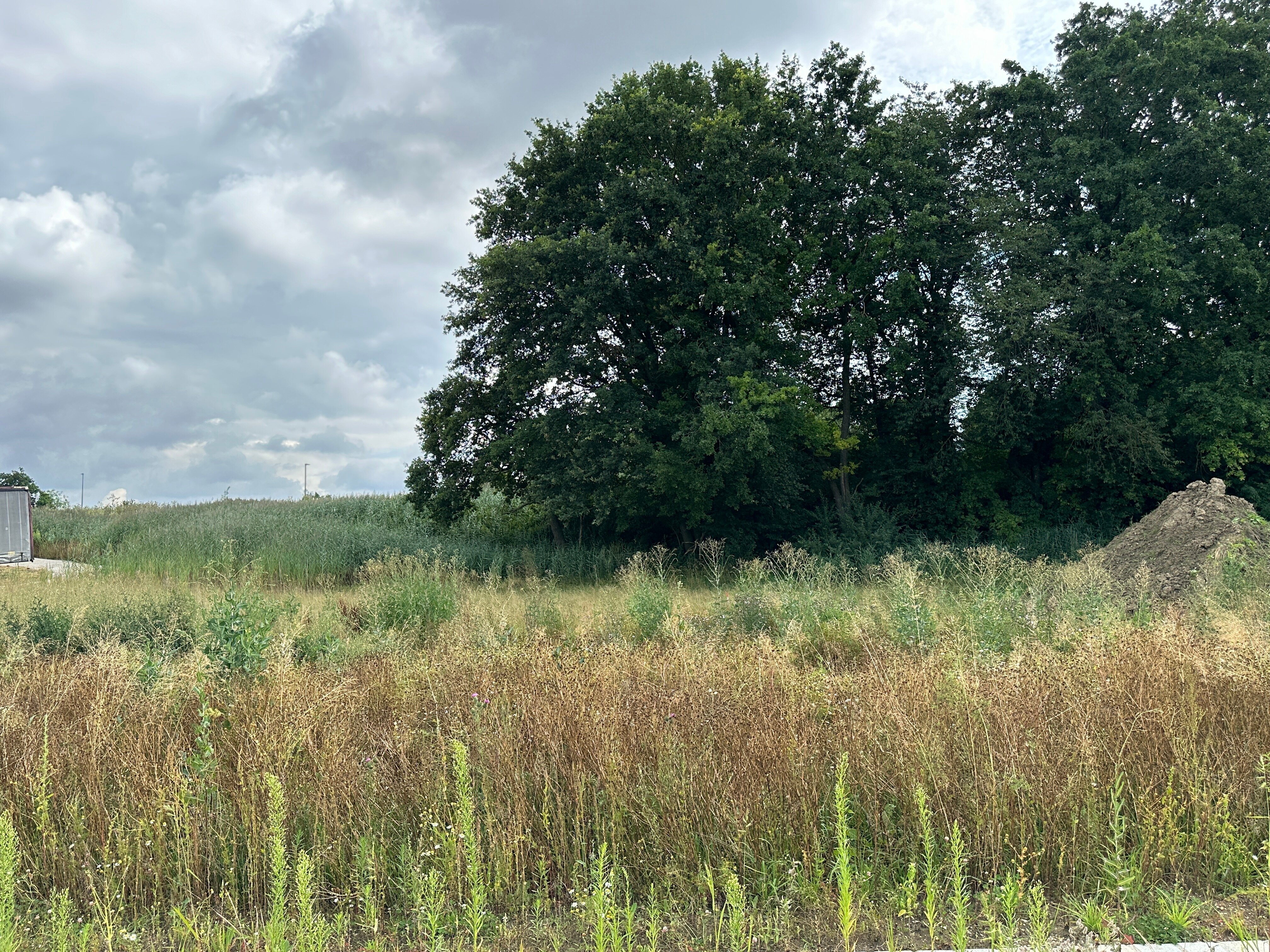 Halle/Industriefläche zur Miete 1.440 € 180 m²<br/>Lagerfläche von 100 m² bis 600 m²<br/>Teilbarkeit Gewerbegebiet bei Winden Winden am Aign Reichertshofen 85084