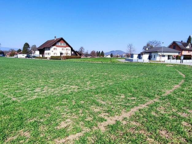 Doppelhaushälfte zum Kauf - Erstbezug 569.000 € 4,5 Zimmer 100 m² 220 m² Grundstück Rüthenenstraße Meiningen 6812