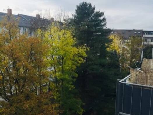 Wohnung zur Miete 300 € 2 Zimmer 52,7 m² 4. Geschoss frei ab sofort Rudolf-Marek-Straße 3 Kaßberg Kaßberg 09112