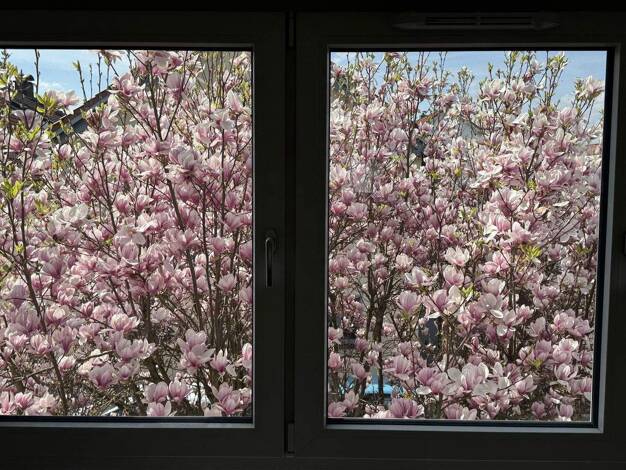 Maisonette zur Miete 1.701 € 5 Zimmer 126 m² 1. Geschoss Breckenheim Wiesbaden 65207