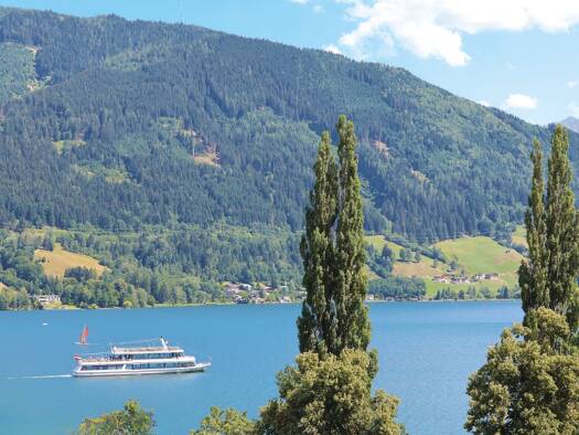 Wohnung zum Kauf 449.000 € 4 Zimmer 82,3 m² 3. Geschoss Zell am See 5700