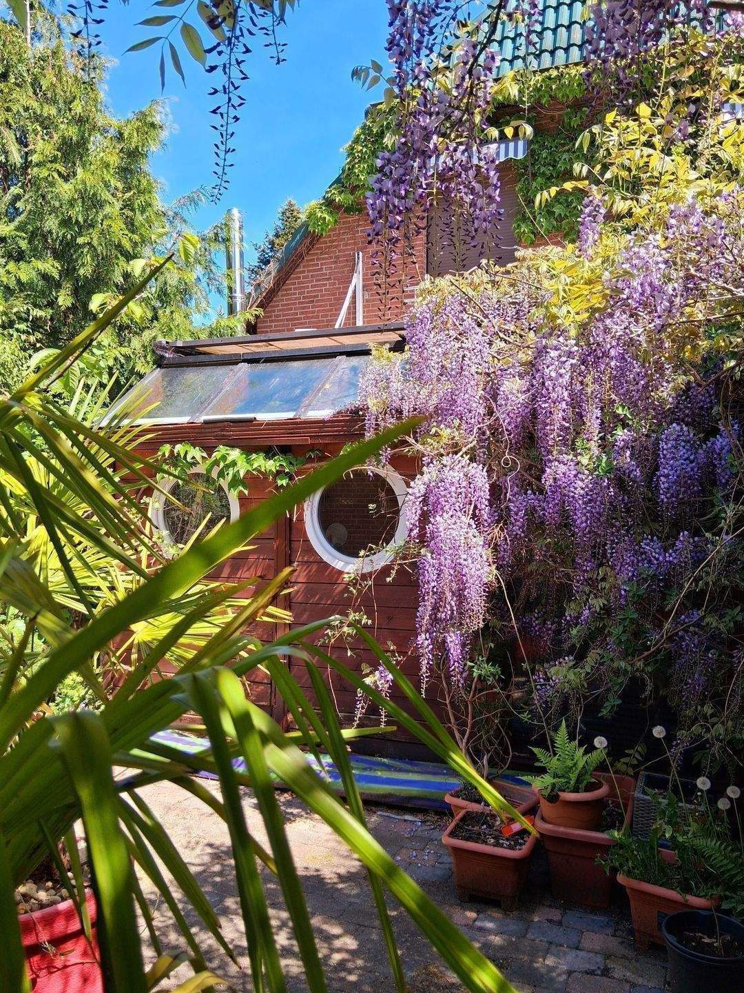 Property thumbnail 6