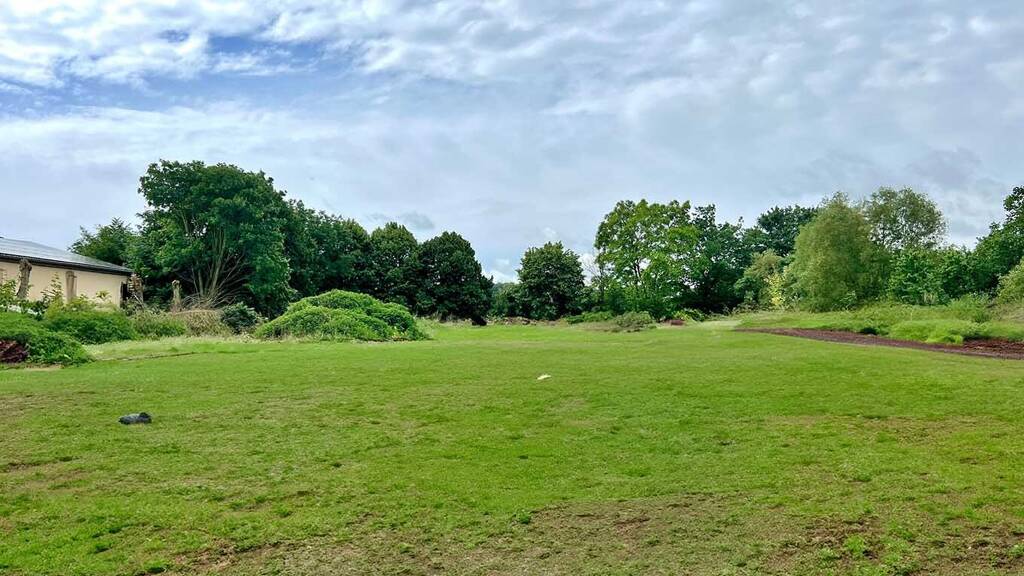 Gewerbegrundstück zum Kauf 250.000 € 3.000 m² Grundstück Sprenzer Chaussee Niendorf Wiendorf 18258