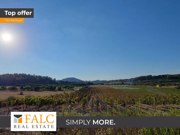 Grundstück zum Kauf provisionsfrei 725.000 € 40.689 m² Grundstück Porreres 07230