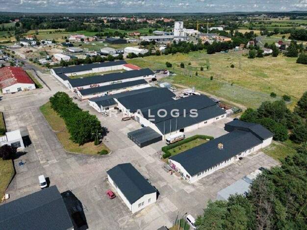 Halle/Industriefläche zur Miete provisionsfrei 3.565 m² Lagerfläche teilbar ab 800 m² Beelitz 14547