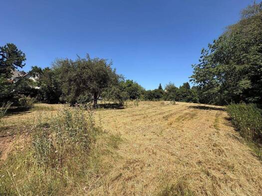 Grundstück zum Kauf provisionsfrei 990.000 € 1.475 m² Grundstück frei ab sofort Erlenweg 9 Deutenbach Stein 90547