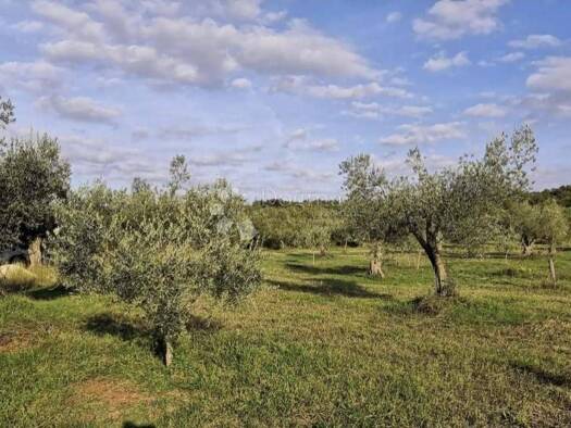 Acker-/Waldstück zum Kauf 99.000 € Rovinjsko Selo, Rovinj Rovinj 52210