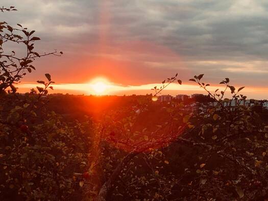 Wohnung zur Miete 1.050 € 3,5 Zimmer 134 m² Geschoss 1/3 frei ab 01.04.2026 Erlenbrunner Straße 16 Erlenbrunn Pirmasens 66955