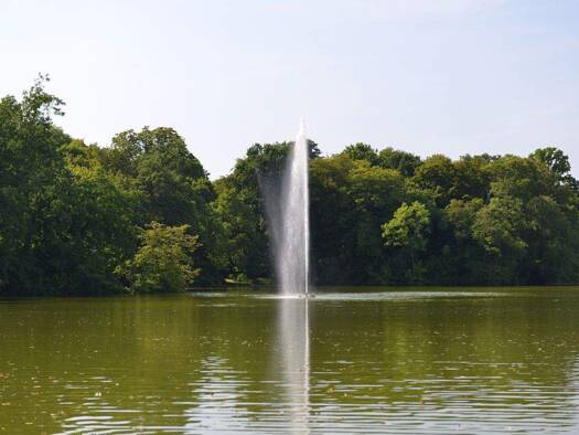 Studio zur Miete Wohnen auf Zeit 1.400 € 1 Zimmer 22 m² frei ab 01.03.2026 Lindenthal Köln 50931