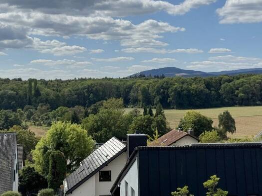 Wohnung zum Kauf 349.000 € 4 Zimmer 102,5 m² Seulberg Friedrichsdorf 61381