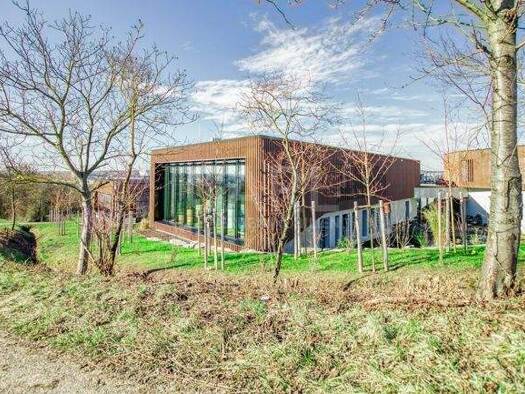 Bürofläche zur Miete 228 m² Bürofläche Neckarsulm 74172