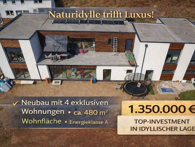 Mehrfamilienhaus zum Kauf 1.350.000 € 13 Zimmer 480 m² 1.450 m² Grundstück Trebgast 95367