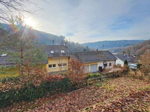 Mehrfamilienhaus zum Kauf 500.000 € 11 Zimmer 329,7 m² 278 m² Grundstück Schönau 69250