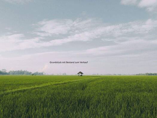 Einfamilienhaus zum Kauf provisionsfrei 1.100.000 € 5 Zimmer 220 m² 1.350 m² Grundstück Sasel Hamburg 22175