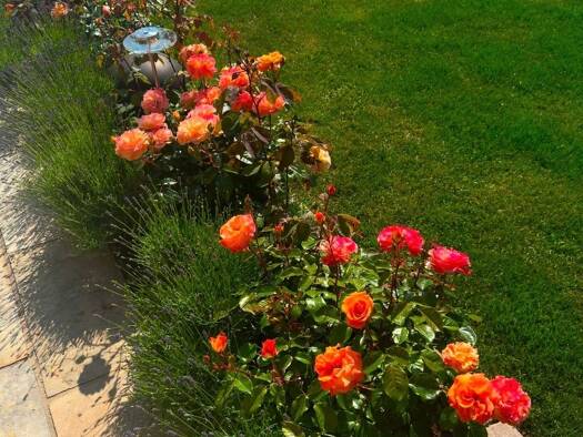 Einfamilienhaus zur Miete 4.500 € 7 Zimmer 360 m² frei ab sofort Hohenholte Havixbeck 48329