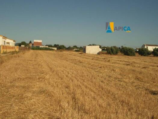 Acker-/Waldstück zum Kauf 257.500 € Vejer de la Frontera 11159