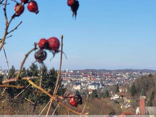 Grundstück zum Kauf 88.000 € 1.110 m² Grundstück Südvorstadt Plauen 08527